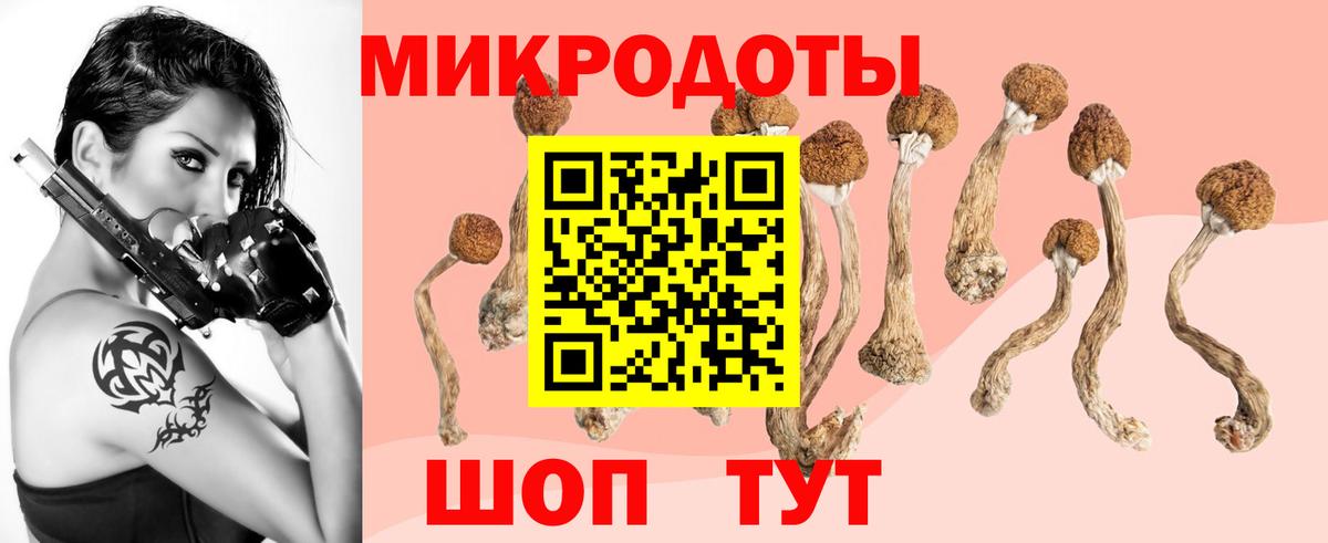 Красноярск  Псилоцибиновые грибы Cubensis  Вход с VPN 